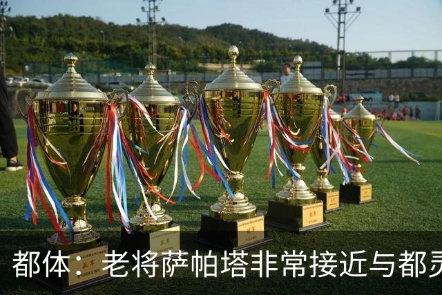 都体：老将萨帕塔非常接近与都灵续约至2028年，基本达成协议